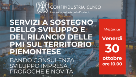 consulenza pmi